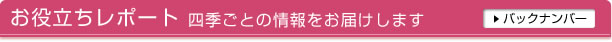 ���𗧂����|�[�g