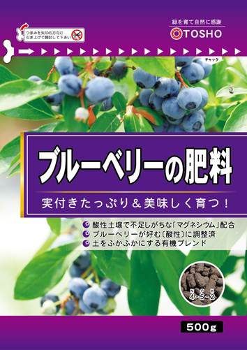 blueberry500g