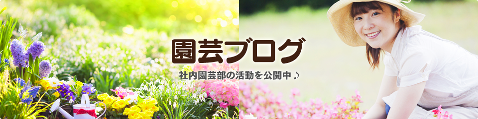 園芸ブログ