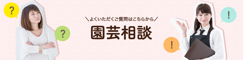 園芸相談