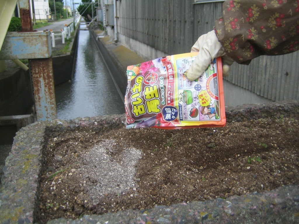 歩道橋花壇の土作り　7月12日