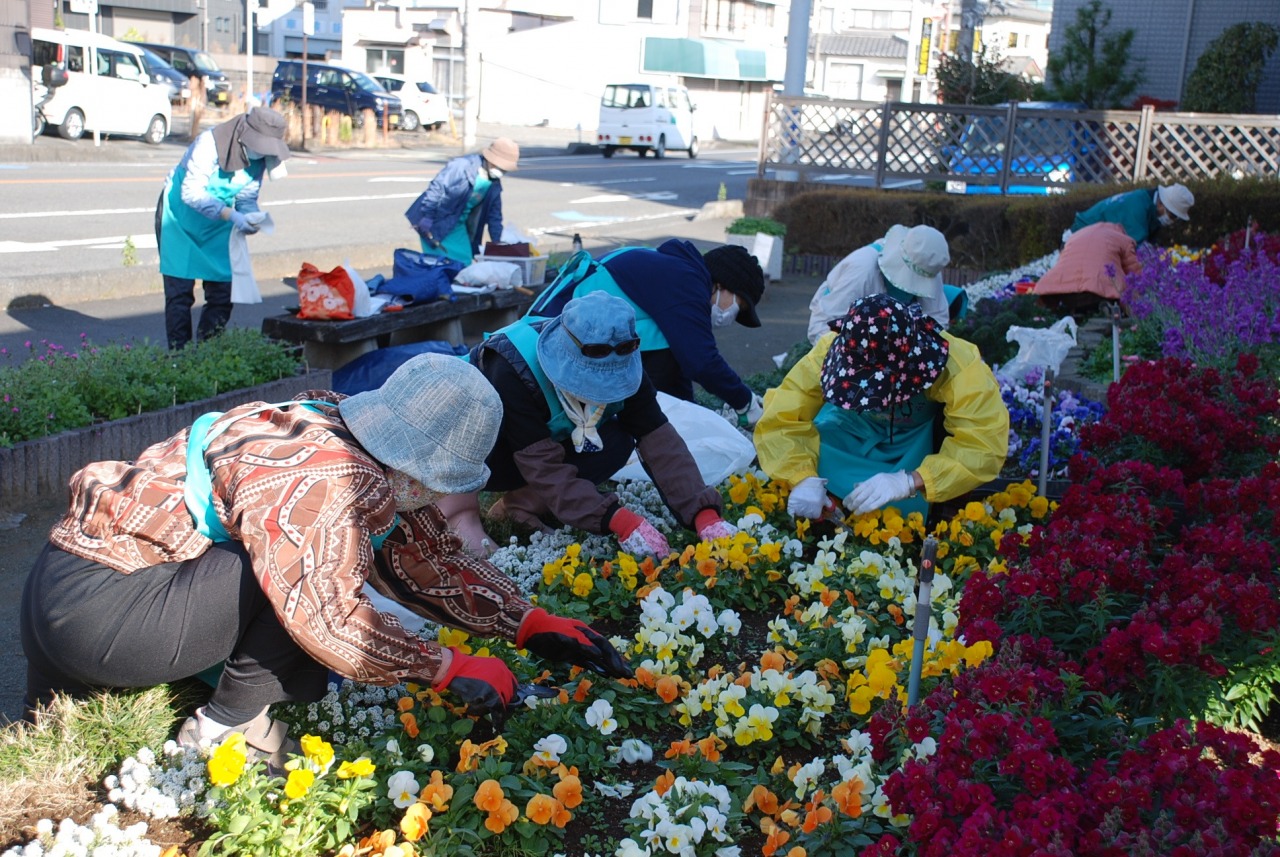 焼津市花の会様　12月の花壇のお手入れ