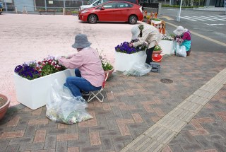 焼津市花の会様　5月の花壇のお手入れ　5/6