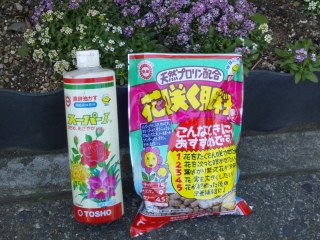 もう少しパンジーを楽しむ為に…　花咲く肥料＆スーパーⅠ