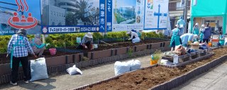 夏花壇に植替え準備 焼津市花の会様 6/2