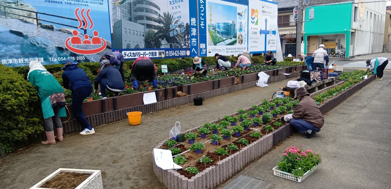 秋の花壇苗の植え付け　焼津市花の会様