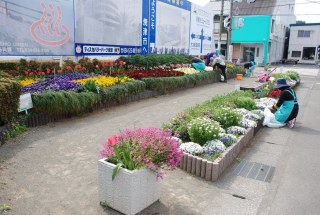 焼津市花の会様　3月の花壇の手入れ
