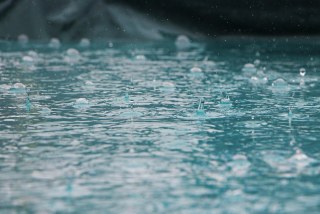 長雨の時期をどう乗り切る？