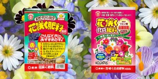 「花咲く肥料」と「花咲く化成肥料」の違いとは？