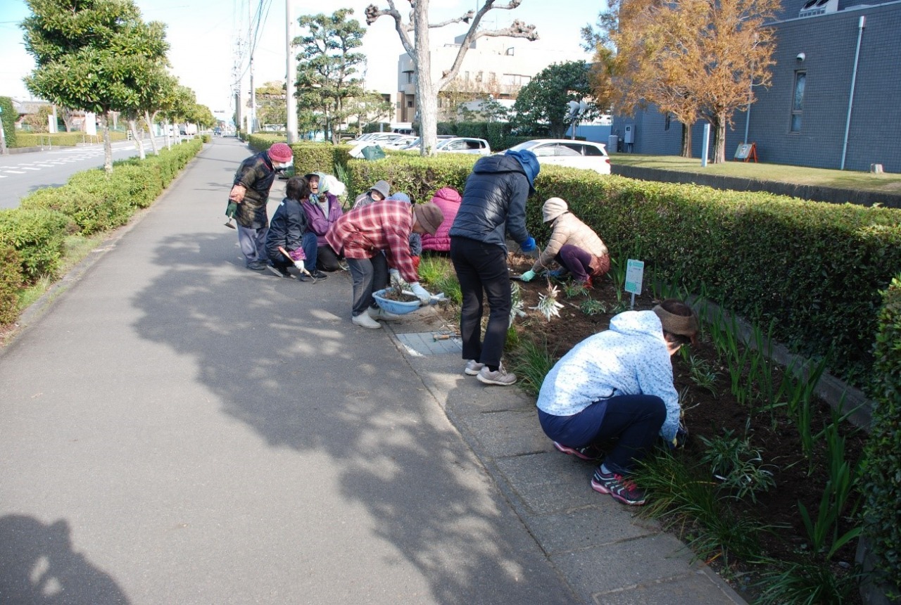 大井川花の会様　ミュージコ前花壇植え付け