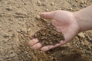 土の再生と肥料について