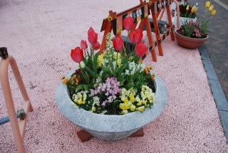 焼津市花の会様　3月　花壇のお手入れ