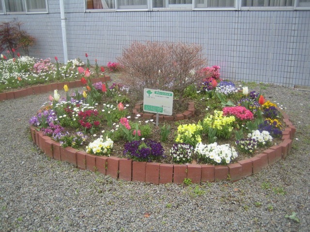 大井川花の会様　大井川公民館花壇　