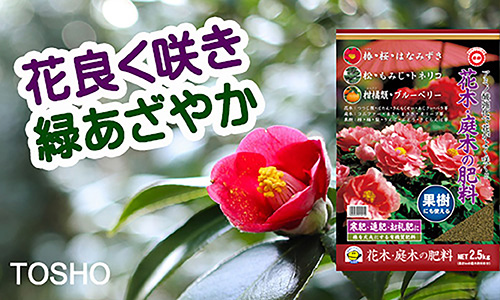 花木 庭木の肥料 製品情報 株式会社 東 商
