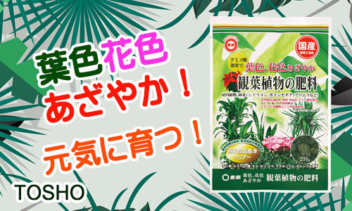観葉植物の肥料 製品情報 株式会社 東 商 観葉植物の肥料 製品情報 株式会社 東 商