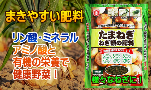 たまねぎ ねぎ類の肥料 製品情報 株式会社 東 商