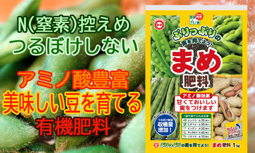 豆さま専用　M mimg_p469.jpg