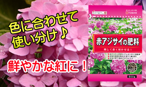 21年新商品 赤アジサイの肥料 製品情報 株式会社 東 商