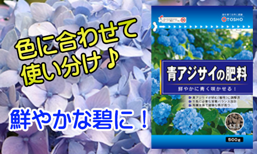 21年新商品 青アジサイの肥料 製品情報 株式会社 東 商