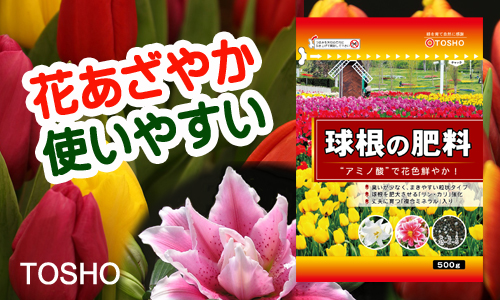 21年新商品 球根の肥料 製品情報 株式会社 東 商 21年新商品 球根の肥料 製品情報 株式会社 東 商