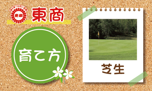 芝生の育て方 園芸特集 株式会社 東 商