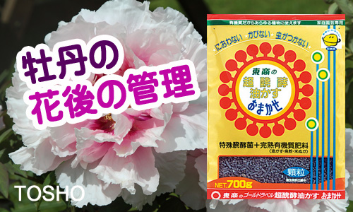 牡丹の花後の管理 Howto動画 株式会社 東 商