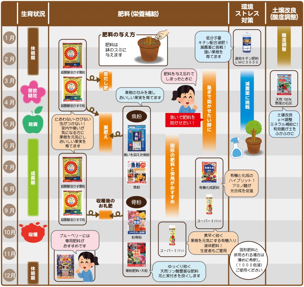 シチュエーション 果樹 製品情報 株式会社 東 商