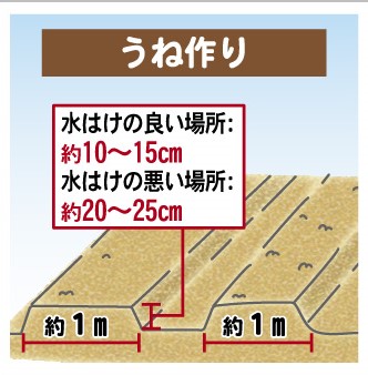 3うね作り