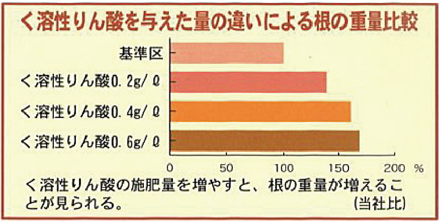 tamanegihamono-01