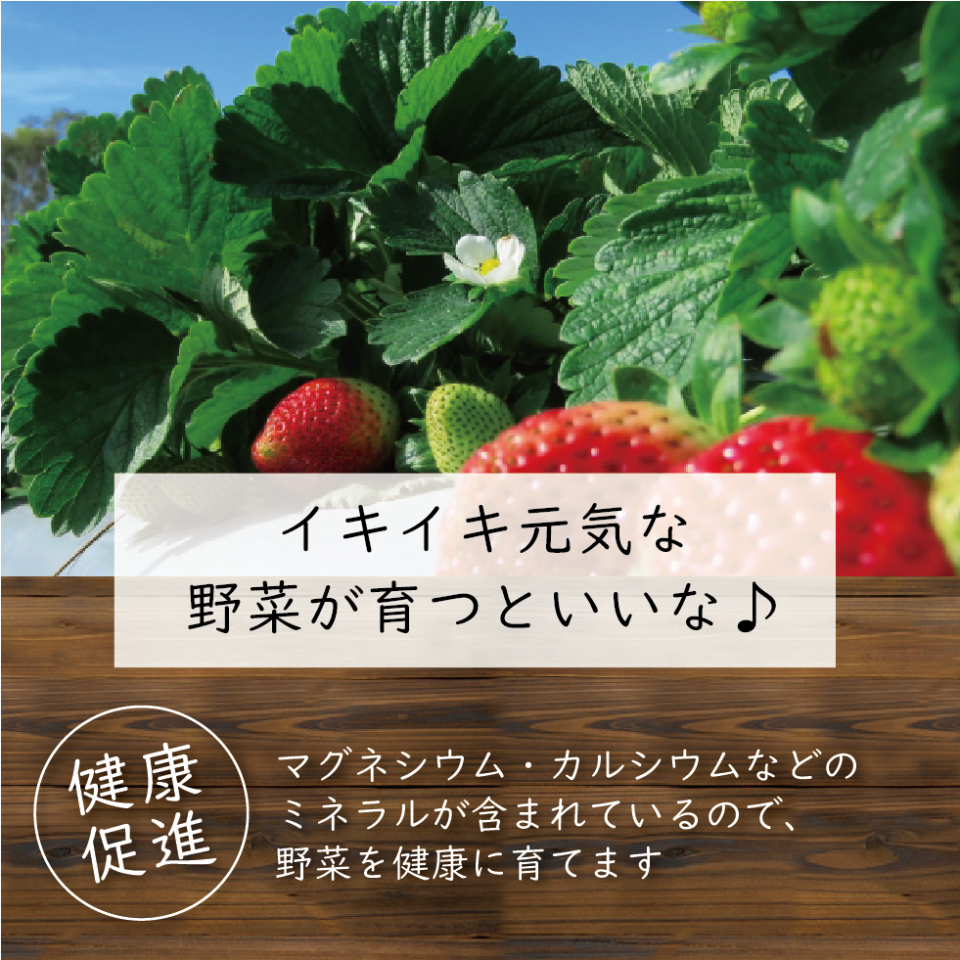 LP有機100野菜の肥料-04