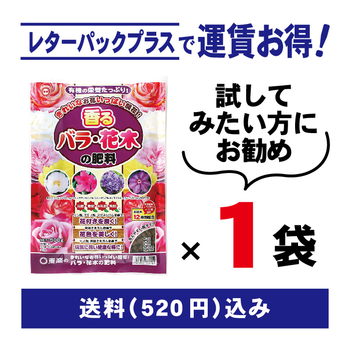 LP_520-barahanaki