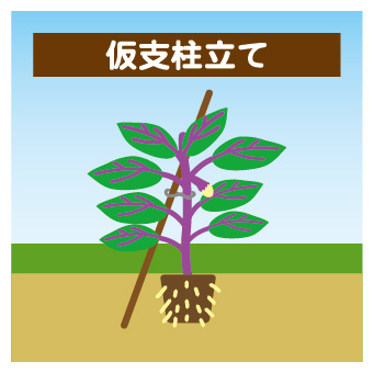 nasu-planter-04