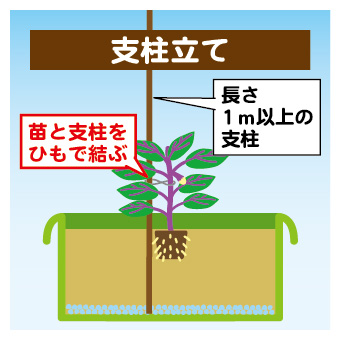 nasu-planter-06