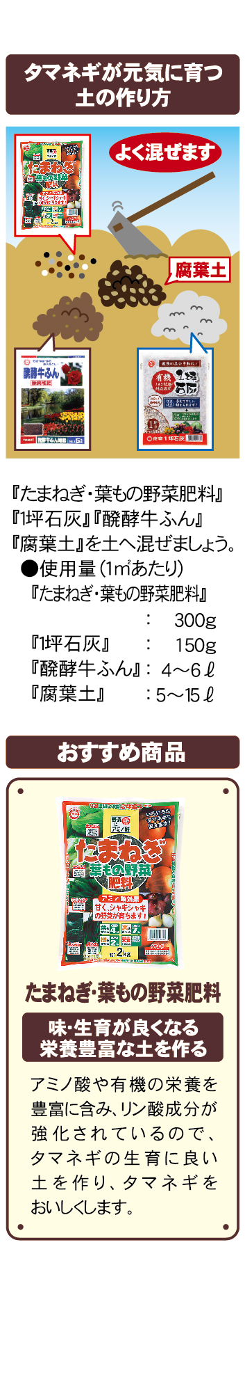 タマネギ 菜園編 園芸特集 株式会社 東 商 タマネギ 菜園編 園芸特集 株式会社 東 商
