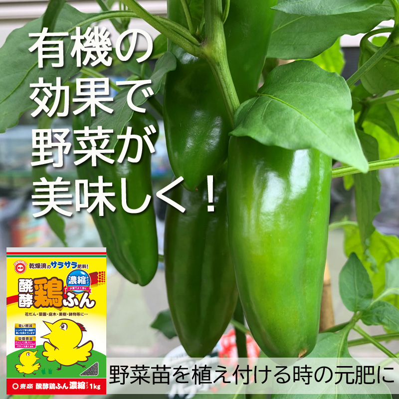 鶏ふん　野菜が美味しく　元肥 その２修正