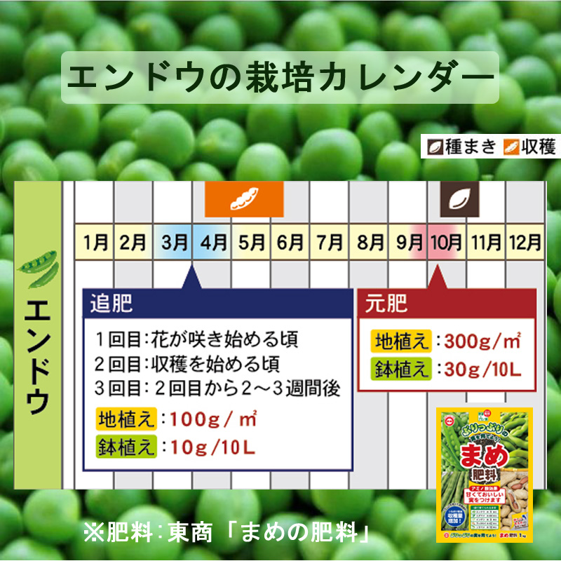 まめの肥料エンドウ