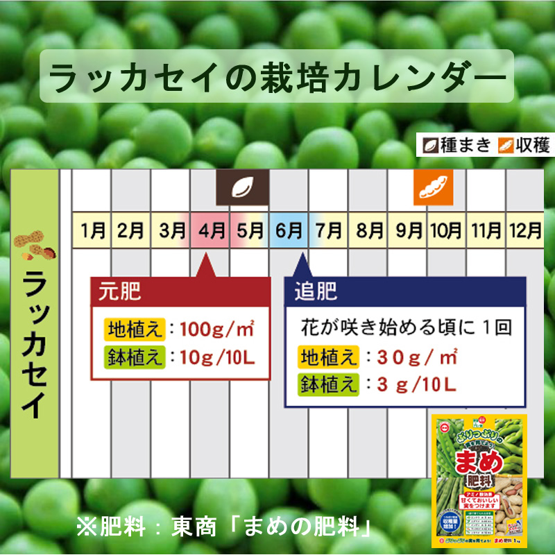 まめの肥料ラッカセイ