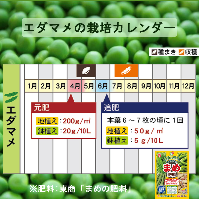 まめの肥料エダマメ