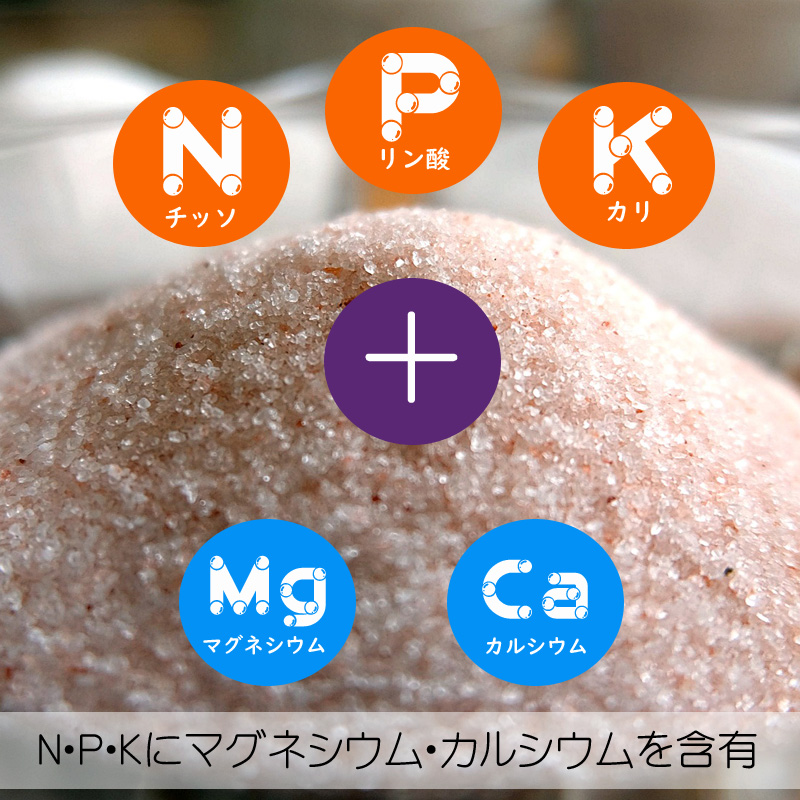 チッソリン酸カリ　鶏ふん修正