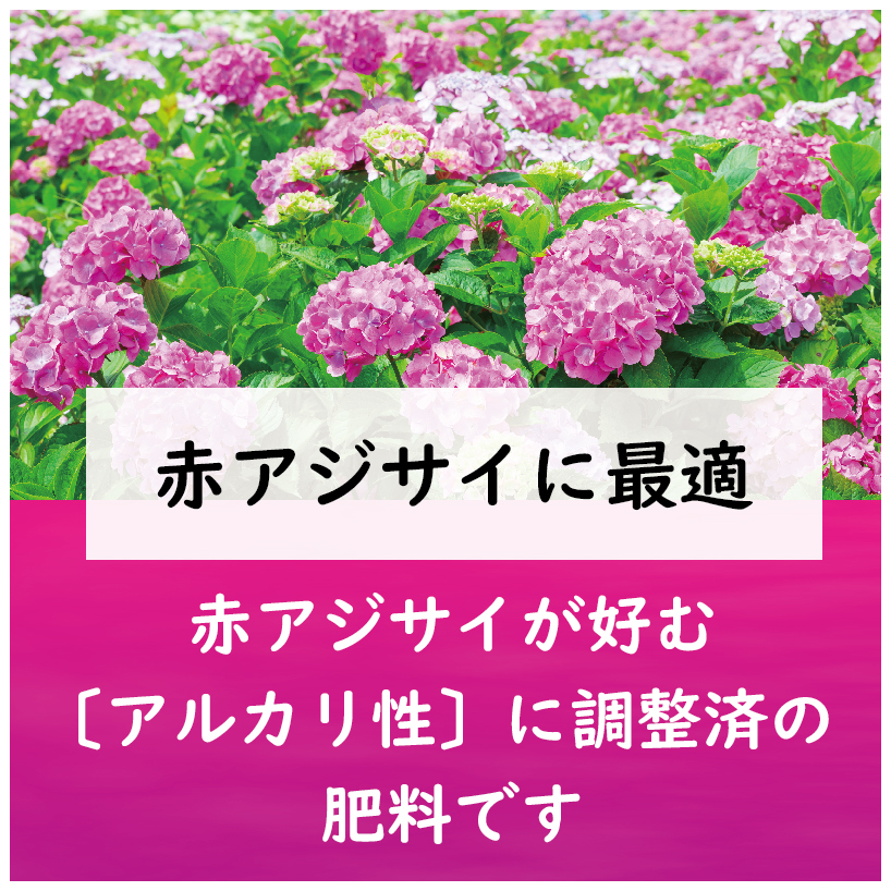 赤アジサイの肥料 製品情報 株式会社 東 商