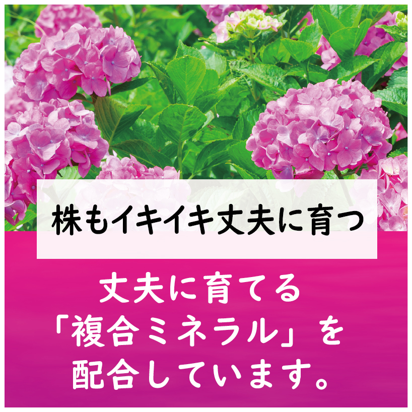 赤アジサイの肥料 製品情報 株式会社 東 商