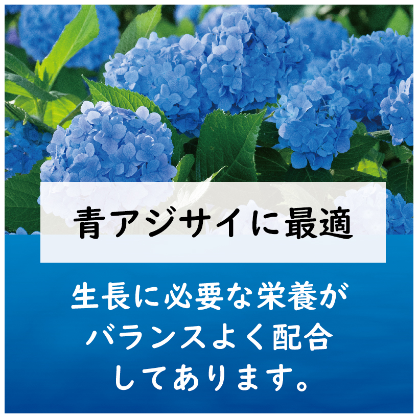青アジサイ肥料LP-01