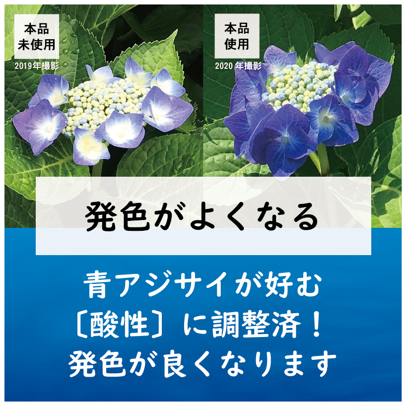 青アジサイの肥料 製品情報 株式会社 東 商