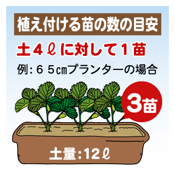 イチゴ プランター編 園芸特集 株式会社 東 商