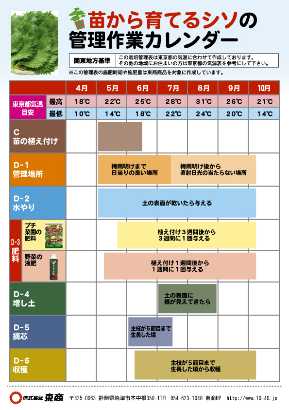 シソ プランター編 園芸特集 株式会社 東 商