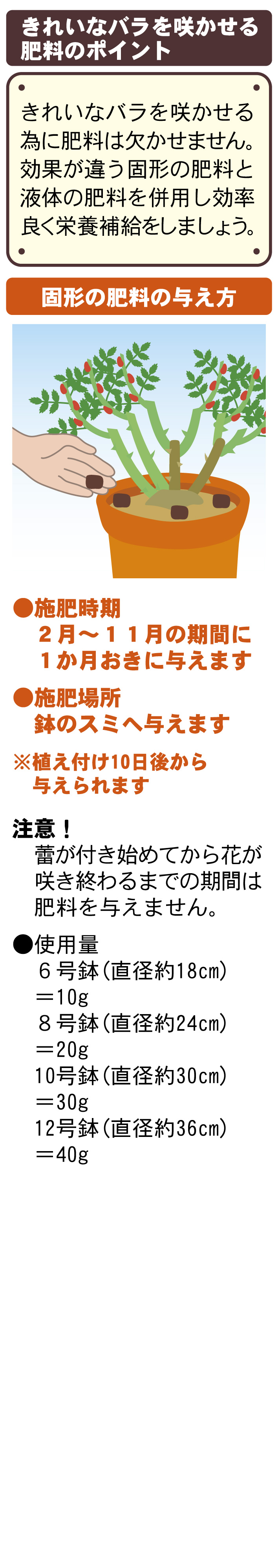 バラの育て方 園芸特集 株式会社 東 商