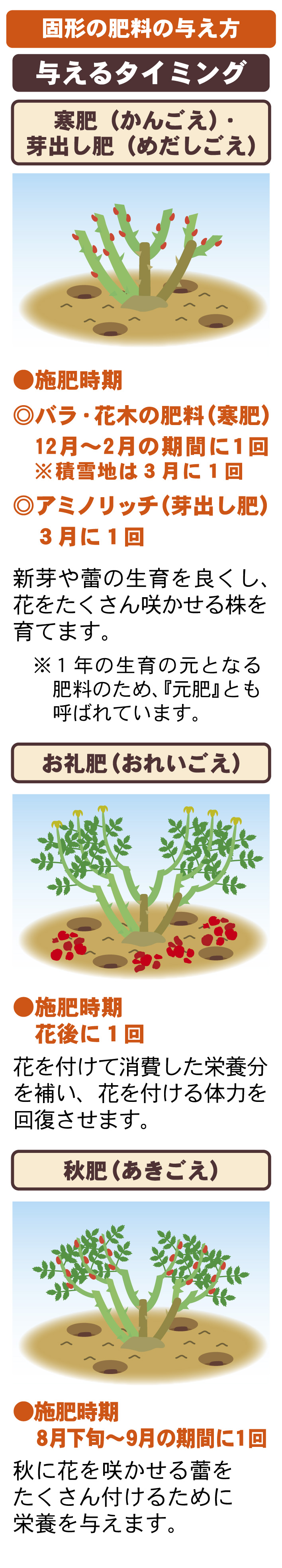 バラの育て方 園芸特集 株式会社 東 商 バラの育て方 園芸特集 株式会社 東 商