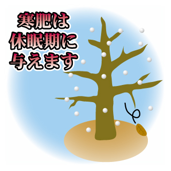 寒肥の与え方 園芸特集 株式会社 東 商 寒肥の与え方 園芸特集 株式会社 東 商