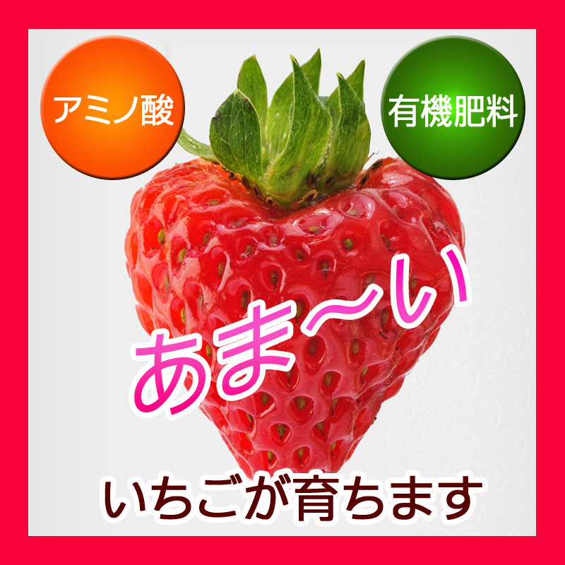 あま い イチゴ肥料 製品情報 株式会社 東 商