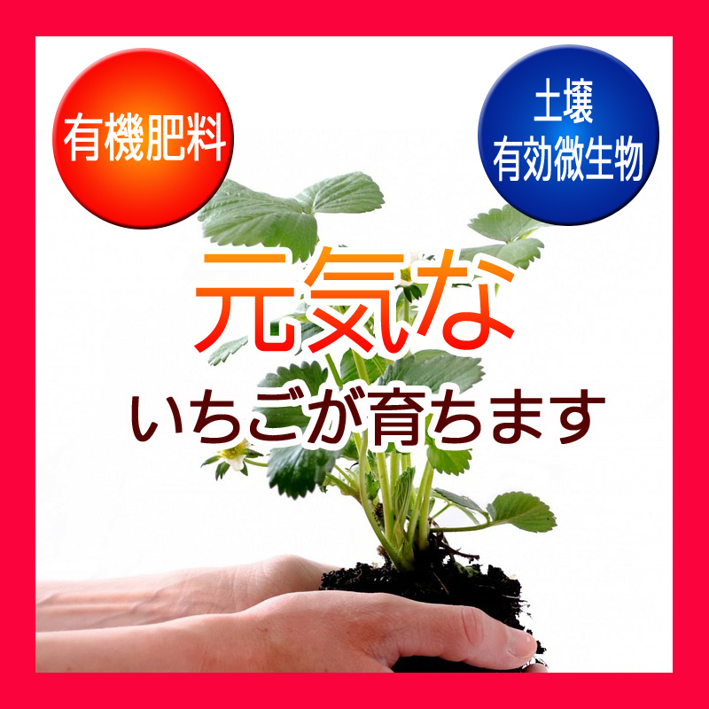 あま～い！イチゴ肥料 - 製品情報 - 株式会社 東 商